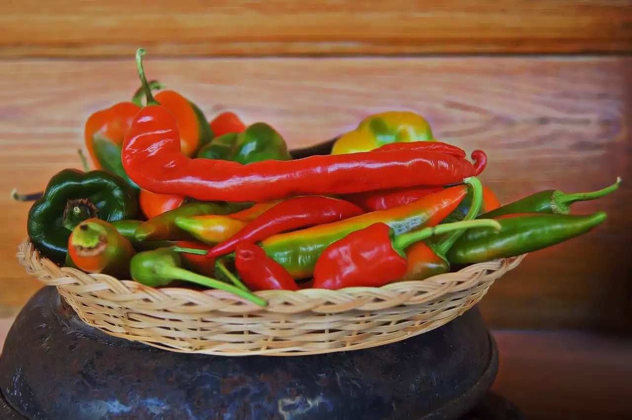 Explorando los sabores regionales de la cocina mexicana